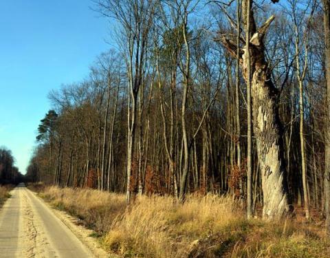 У межах НПП «Північне Поділля» напрацьовують новий веломаршрут  